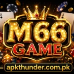 M66WIN
