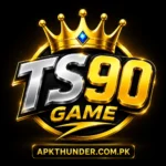 TS90 REAL EARNING APK